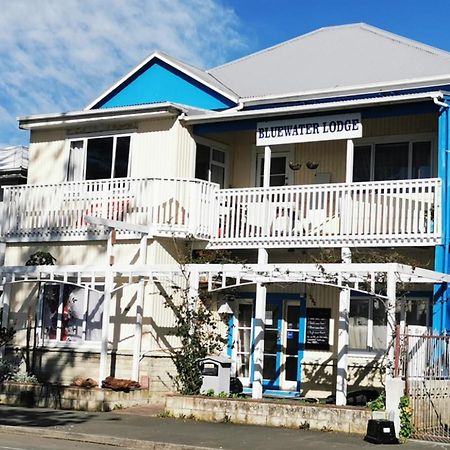Bluewater Lodge 纳皮尔 外观 照片