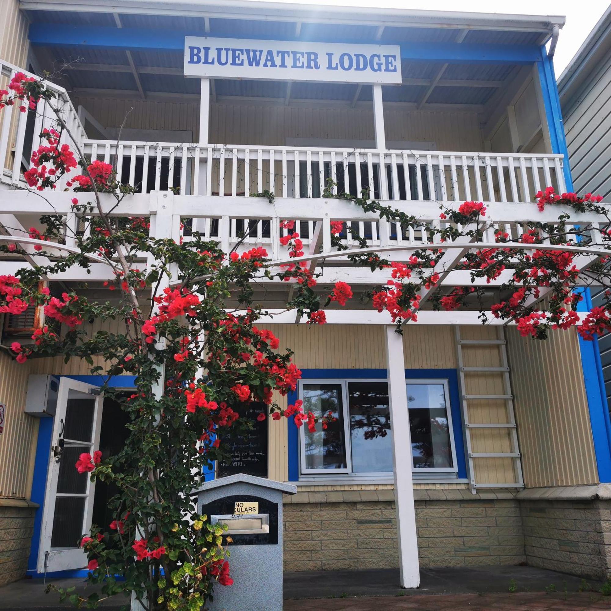 Bluewater Lodge 纳皮尔 外观 照片