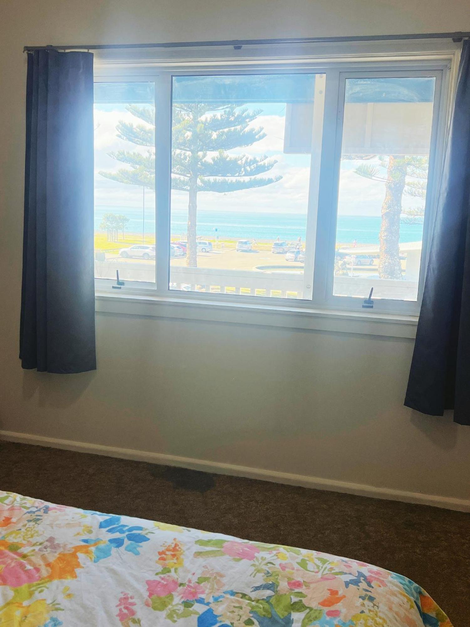Bluewater Lodge 纳皮尔 外观 照片